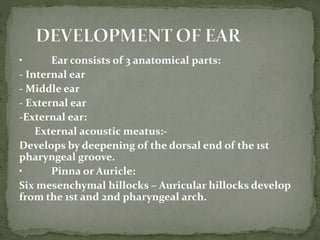 • Ear consists of 3 anatomical parts:
- Internal ear
- Middle ear
- External ear
-External ear:
External acoustic meatus:-
Develops by deepening of the dorsal end of the 1st
pharyngeal groove.
• Pinna or Auricle:
Six mesenchymal hillocks – Auricular hillocks develop
from the 1st and 2nd pharyngeal arch.
 