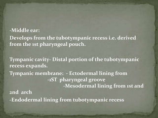 -Middle ear:
Develops from the tubotympanic recess i.e. derived
from the 1st pharyngeal pouch.
Tympanic cavity- Distal portion of the tubotympanic
recess expands.
Tympanic membrane: - Ectodermal lining from
-1ST pharyngeal groove
-Mesodermal lining from 1st and
2nd arch
-Endodermal lining from tubotympanic recess
 
