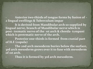 - Anterior two-thirds of tongue forms by fusion of –
2 lingual swellings & Tuberculum impar
- It is derived from Mandibular arch so supplied by
lingual nerve, branch of Mandibular nerve which is
post- trematic nerve of the 1st arch & chorda- tympani
which is pretrmatic nerve of the arch.
- Posterior one-thirds is formed from cranial part
of H.E (copula)
- The 2nd arch mesoderm buries below the surface,
3rd arch mesoderm grows over it to fuse with mesoderm
of 1st arch.
- Thus it is formed by 3rd arch mesoderm.
 