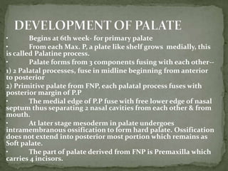 • Begins at 6th week- for primary palate
• From each Max. P, a plate like shelf grows medially, this
is called Palatine process.
• Palate forms from 3 components fusing with each other--
1) 2 Palatal processes, fuse in midline beginning from anterior
to posterior
2) Primitive palate from FNP, each palatal process fuses with
posterior margin of P.P
• The medial edge of P.P fuse with free lower edge of nasal
septum thus separating 2 nasal cavities from each other & from
mouth.
• At later stage mesoderm in palate undergoes
intramembranous ossification to form hard palate. Ossification
does not extend into posterior most portion which remains as
Soft palate.
• The part of palate derived from FNP is Premaxilla which
carries 4 incisors.
 