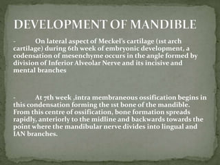 - On lateral aspect of Meckel’s cartilage (1st arch
cartilage) during 6th week of embryonic development, a
codensation of mesenchyme occurs in the angle formed by
division of Inferior Alveolar Nerve and its incisive and
mental branches
- At 7th week ,intra membraneous ossification begins in
this condensation forming the 1st bone of the mandible.
From this centre of ossification, bone formation spreads
rapidly, anteriorly to the midline and backwards towards the
point where the mandibular nerve divides into lingual and
IAN branches.
 