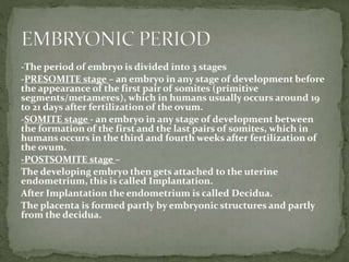 -The period of embryo is divided into 3 stages
-PRESOMITE stage – an embryo in any stage of development before
the appearance of the first pair of somites (primitive
segments/metameres), which in humans usually occurs around 19
to 21 days after fertilization of the ovum.
-SOMITE stage - an embryo in any stage of development between
the formation of the first and the last pairs of somites, which in
humans occurs in the third and fourth weeks after fertilization of
the ovum.
-POSTSOMITE stage –
The developing embryo then gets attached to the uterine
endometrium, this is called Implantation.
After Implantation the endometrium is called Decidua.
The placenta is formed partly by embryonic structures and partly
from the decidua.
 