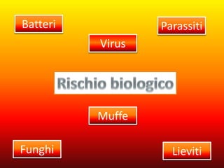 Batteri 
Virus 
Parassiti 
Funghi 
Lieviti 
Muffe  