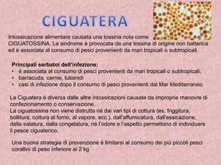 Intossicazione alimentare causata unatossina nota come 
CIGUATOSSINA. La sindrome è provocata da una tossina di origine non batterica ed è associata al consumo di pesci provenienti da mari tropicali o subtropicali. 
Principali serbatoi dell’infezione: 
•è associata al consumo di pesci provenienti da mari tropicali o subtropicali; 
•barracuda, cernie, lutianidi 
•casi di infezione dopo il consumo di pesci provenienti dal Mar Mediterraneo 
La Ciguatera è diversa dalle altre intossicazioni causate da improprie manovre di confezionamento o conservazione. 
La ciguatossina non viene distrutta né dai vari tipi di cottura (es. friggitura, bollitura, cottura al forno, al vapore, ecc.), dall’affumicatura, dall’essicazione, dalla salatura, dalla congelatura, né l’odore e l’aspetto permettono di individuare il pesce ciguaterico. 
Una buona strategia di prevenzione è limitarsi al consumo dei più piccoli pesci corallini di peso inferiore ai 2 kg  