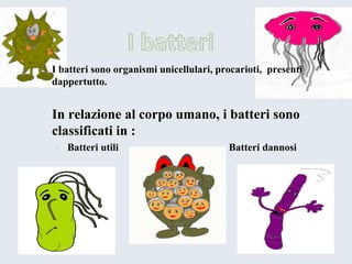 I batterisonoorganismiunicellulari, procarioti,presentidappertutto. 
In relazioneal corpoumano, ibatterisonoclassificatiin : 
-BatteriutiliBatteridannosi  