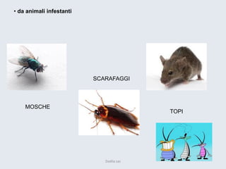 • da animali infestanti 
MOSCHE 
TOPI 
SCARAFAGGI 
Dadila sas 
 