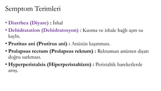 Semptom Terimleri
• Diarrhea (Diyare) : İshal
• Dehidratation (Dehidratosyon) : Kusma ve ishale bağlı aşırı su
kaybı.
• Pruritus ani (Prutirus ani) : Anüsün kaşınması.
• Prolapsus rectum (Prolapsus rektum) : Rektumun anüsten dışarı
doğru sarkması.
• Hyperperistalsis (Hiperperistaltizm) : Peristaltik hareketlerde
artış.
 