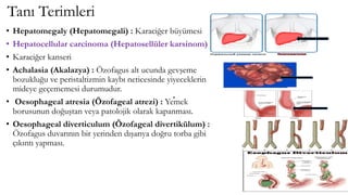 Tanı Terimleri
• Hepatomegaly (Hepatomegali) : Karaciğer büyümesi
• Hepatocellular carcinoma (Hepatosellüler karsinom) :
• Karaciğer kanseri
• Achalasia (Akalazya) : Özofagus alt ucunda gevşeme
bozukluğu ve peristaltizmin kaybı neticesinde yiyeceklerin
mideye geçememesi durumudur.
• Oesophageal atresia (Özofageal atrezi) : Yemek
borusunun doğuştan veya patolojik olarak kapanması.
• Oesophageal diverticulum (Özofageal divertikülum) :
Özofagus duvarının bir yerinden dışarıya doğru torba gibi
çıkıntı yapması.
 