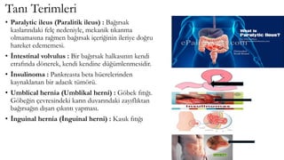 Tanı Terimleri
• Paralytic ileus (Paralitik ileus) : Bağırsak
kaslarındaki felç nedeniyle, mekanik tıkanma
olmamasına rağmen bağırsak içeriğinin ileriye doğru
hareket edememesi.
• İntestinal volvulus : Bir bağırsak halkasının kendi
etrafında dönerek, kendi kendine düğümlenmesidir.
• İnsulinoma : Pankreasta beta hücrelerinden
kaynaklanan bir adacık tümörü.
• Umblical hernia (Umblikal herni) : Göbek fıtığı.
Göbeğin çevresindeki karın duvarındaki zayıflıktan
bağırsağın dışarı çıkıntı yapması.
• İnguinal hernia (İnguinal herni) : Kasık fıtığı
 