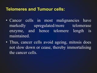 Hallmarks of cancer | PPTX