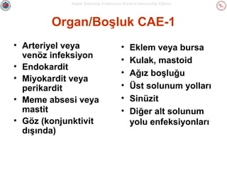 Sağlık Bakanlığı Enfeksiyon Kontrol Hemşireliği Eğitimi

Organ/Boşluk CAE-1
• Arteriyel veya
venöz infeksiyon
• Endokardit
• Miyokardit veya
perikardit
• Meme absesi veya
mastit
• Göz (konjunktivit
dışında)

•
•
•
•
•
•

Eklem veya bursa
Kulak, mastoid
Ağız boşluğu
Üst solunum yolları
Sinüzit
Diğer alt solunum
yolu enfeksiyonları

 