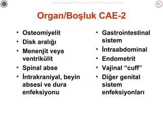Sağlık Bakanlığı Enfeksiyon Kontrol Hemşireliği Eğitimi

Organ/Boşluk CAE-2
• Osteomiyelit
• Disk aralığı
• Menenjit veya
ventrikülit
• Spinal abse
• İntrakraniyal, beyin
absesi ve dura
enfeksiyonu

• Gastrointestinal
sistem
• İntraabdominal
• Endometrit
• Vajinal “cuff”
• Diğer genital
sistem
enfeksiyonları

 