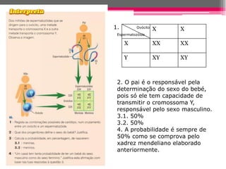1.        Ovócito
                    X    X
 Espermatozóide

     X              XX   XX

     Y              XY   XY



 2. O pai é o responsável pela
 determinação do sexo do bebé,
 pois só ele tem capacidade de
 transmitir o cromossoma Y,
 responsável pelo sexo masculino.
 3.1. 50%
 3.2. 50%
 4. A probabilidade é sempre de
 50% como se comprova pelo
 xadrez mendeliano elaborado
 anteriormente.
 