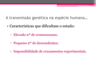 A transmissão genética na espécie humana…
• Características que dificultam o estudo:

  ▫ Elevado nº de cromossomas;

  ▫ Pequeno nº de descendentes;

  ▫ Impossibilidade de cruzamentos experimentais.
 