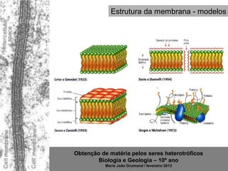 Estrutura da membrana - modelos




Obtenção de matéria pelos seres heterotróficos
        Biologia e Geologia – 10º ano
           Maria João Drumond / fevereiro 2013
 