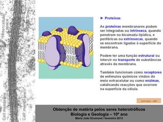 Obtenção de matéria pelos seres heterotróficos
        Biologia e Geologia – 10º ano
           Maria João Drumond / fevereiro 2013
 