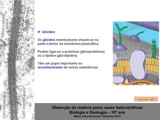 Obtenção de matéria pelos seres heterotróficos
        Biologia e Geologia – 10º ano
           Maria João Drumond / fevereiro 2013
 
