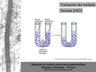 Transporte não mediado
                                  Osmose (H2O)




                        http://wikichimiegroupe1.dberard1.ep.profweb.qc.ca/images/f/f8/Osmose2.jpg




Obtenção de matéria pelos seres heterotróficos
        Biologia e Geologia – 10º ano
           Maria João Drumond / fevereiro 2013
 