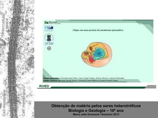 Obtenção de matéria pelos seres heterotróficos
        Biologia e Geologia – 10º ano
           Maria João Drumond / fevereiro 2013
 