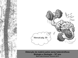 Manual pág. 59




Obtenção de matéria pelos seres heterotróficos
        Biologia e Geologia – 10º ano
           Maria João Drumond / fevereiro 2013
 