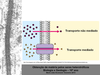 http://3.bp.blogspot.com/_jEP6g-m9xjo/TAMF4_8qjbI/AAAAAAAABUI/oRqNQTHvCY8/s1600/transportemediadonaomediado.png



               Obtenção de matéria pelos seres heterotróficos
                       Biologia e Geologia – 10º ano
                                       Maria João Drumond / fevereiro 2013
 