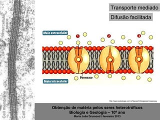 Transporte mediado
                                      Difusão facilitada




                                     http://www.sobiologia.com.br/figuras/Citologia/permease.jpg



Obtenção de matéria pelos seres heterotróficos
        Biologia e Geologia – 10º ano
           Maria João Drumond / fevereiro 2013
 