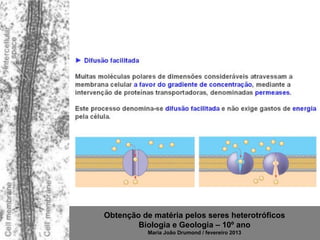 Obtenção de matéria pelos seres heterotróficos
        Biologia e Geologia – 10º ano
           Maria João Drumond / fevereiro 2013
 
