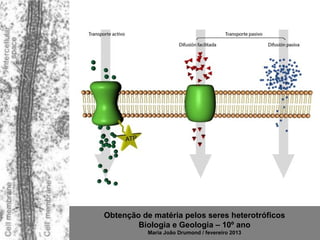 Obtenção de matéria pelos seres heterotróficos
        Biologia e Geologia – 10º ano
           Maria João Drumond / fevereiro 2013
 