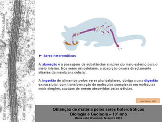 Obtenção de matéria pelos seres heterotróficos
        Biologia e Geologia – 10º ano
           Maria João Drumond / fevereiro 2013
 