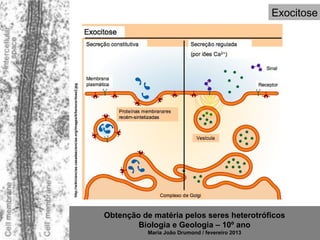 Exocitose




http://wikiciencias.casadasciencias.org/images/b/be/exocitose2.jpg




                                                                     Obtenção de matéria pelos seres heterotróficos
                                                                             Biologia e Geologia – 10º ano
                                                                                Maria João Drumond / fevereiro 2013
 
