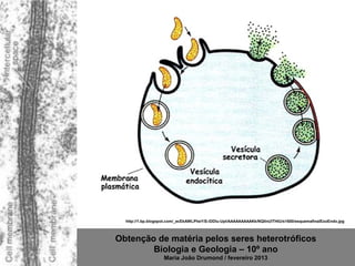 http://1.bp.blogspot.com/_ecEkAWLPheY/S-iDDIu-UpI/AAAAAAAAAKk/NQIInUlTHtU/s1600/esquemafinalExoEndo.jpg



Obtenção de matéria pelos seres heterotróficos
        Biologia e Geologia – 10º ano
                    Maria João Drumond / fevereiro 2013
 