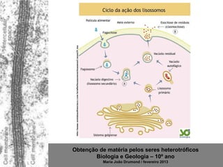 http://www.portalsaofrancisco.com.br/alfa/lisossomos/imagens/Lisoss31.jpg




Obtenção de matéria pelos seres heterotróficos
        Biologia e Geologia – 10º ano
                                                                             Maria João Drumond / fevereiro 2013
 