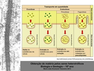 http://dc402.4shared.com/doc/YYVPuvpm/preview_html_m3c257823.png



Obtenção de matéria pelos seres heterotróficos
        Biologia e Geologia – 10º ano
           Maria João Drumond / fevereiro 2013
 