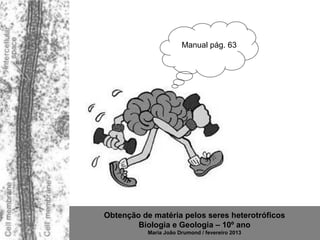 Manual pág. 63




Obtenção de matéria pelos seres heterotróficos
        Biologia e Geologia – 10º ano
           Maria João Drumond / fevereiro 2013
 