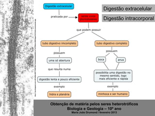 Digestão extracelular
                                                                                                                                                    Digestão intracorporal


http://1.bp.blogspot.com/-zXCxD0bLtZE/T7KWCWnF1hI/AAAAAAAAASU/La1ToFPfk9o/s1600/digest%C3%A3o+extracelular.jpg




                                                                                                                 Obtenção de matéria pelos seres heterotróficos
                                                                                                                         Biologia e Geologia – 10º ano
                                                                                                                            Maria João Drumond / fevereiro 2013
 