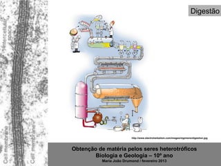 Digestão




                           http://www.electroherbalism.com/images/regimens/digestion.jpg



Obtenção de matéria pelos seres heterotróficos
        Biologia e Geologia – 10º ano
           Maria João Drumond / fevereiro 2013
 