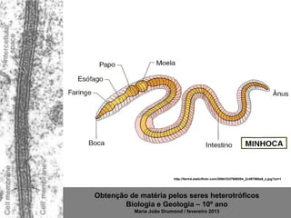 http://farm4.staticflickr.com/3594/3337689204_2c487068a9_z.jpg?zz=1




Obtenção de matéria pelos seres heterotróficos
        Biologia e Geologia – 10º ano
           Maria João Drumond / fevereiro 2013
 