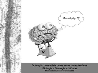 Manual pág. 52




Obtenção de matéria pelos seres heterotróficos
        Biologia e Geologia – 10º ano
           Maria João Drumond / fevereiro 2013
 