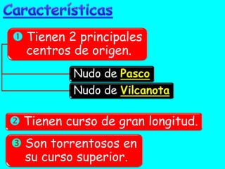 Tienen 2 principales centros de origen. 
Tienen curso de gran longitud. 
Son torrentosos en su curso superior. 
Nudo de Pasco 
Nudo de Vilcanota  