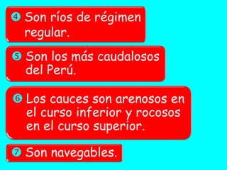 Son ríos de régimen regular. 
Son los más caudalosos del Perú. 
Los cauces son arenosos en el curso inferior y rocosos en el curso superior. 
Son navegables.  