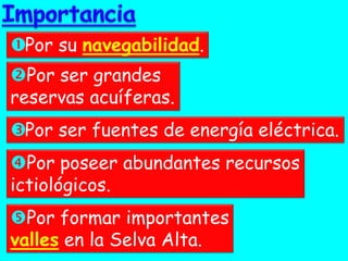  Por su navegabilidad. 
Por ser grandes reservas acuíferas. 
 Por ser fuentes de energía eléctrica. 
Por poseer abundantes recursos ictiológicos. 
Por formar importantes valles en la Selva Alta.  