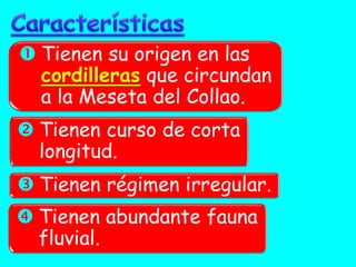 Tienen su origen en las cordilleras que circundan a la Meseta del Collao. 
Tienen curso de corta longitud. 
Tienen régimen irregular. 
Tienen abundante fauna fluvial.  