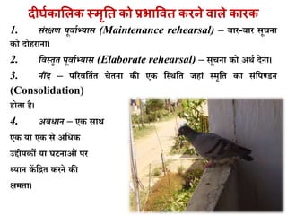 दीर्घकालिक स्मृति को प्रभाविि किने िािे कािक
1. िंरक्षण पूवााभ्याि (Maintenance rehearsal) – बार-बार सूचना
ो दोहराना।
2. सवस्िृि पूवााभ्याि (Elaborate rehearsal) – सूचना ो अथघ देना।
3. नींद – पररवकिघि चेिना ी ए कस्थकि जहािं स्मृकि ा सिंकपण्डन
(Consolidation)
होिा है।
4. अवधान – ए साथ
ए या ए से अकि
उद्दीप ों या र्टनाओिं पर
ध्यान ें कद्रि रने ी
क्षमिा।
 