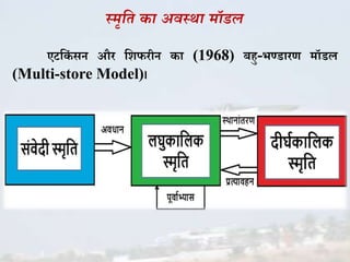 स्र्ृसि का अवस्था र्ॉडल
एटक िं सन और किफरीन ा (1968) बहु-भण्डारण मॉडल
(Multi-store Model)।
 