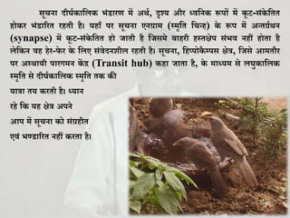 सूचना दीर्घ ाकल भिंडारण में अथघ, दृश्य और ध्वकन रूपों में ू ट-सिं े किि
हो र भिंडाररि रहिी है। यहााँ पर सूचना एनर्ग्ाम (स्मृकि कचन्ह) े रूप में अन्िर्ग्घथन
(synapse) में ू ट-सिं े किि हो जािी है कजसमे बाहरी हस्िक्षेप सिंभव नहीं होिा है
लेक न वह हेर-फे र े कलए सिंवेदनिील रहिी है। सूचना, कहप्पो ै म्पस क्षेत्र, कजसे आमिौर
पर अस्थायी पारगमन ें द्र (Transit hub) हा जािा है, े माध्यम से लर्ु ाकल
स्मृकि से दीर्घ ाकल स्मृकि ि ी
यात्रा िय रिी है। ध्यान
रहे क यह क्षेत्र अपने
आप में सूचना ो सिंर्ग्हीि
एविं भण्डाररि नहीं रिा है।
 