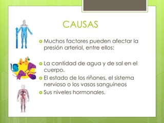 CAUSAS
 Muchos factores pueden afectar la
presión arterial, entre ellos:
 La cantidad de agua y de sal en el
cuerpo.
 El estado de los riñones, el sistema
nervioso o los vasos sanguíneos
 Sus niveles hormonales.
 