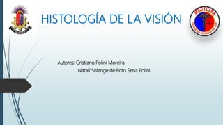 HISTOLOGÍA DE LA VISIÓN
Autores: Cristiano Polini Moreira
Natalí Solange de Brito Sena Polini
 