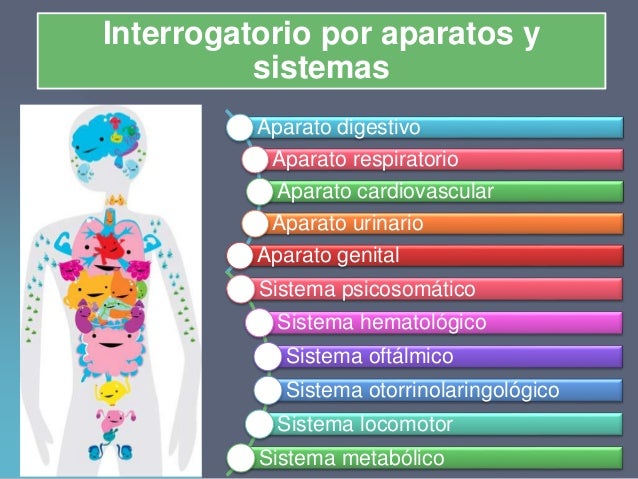 Historia Clinica Aparatos Y Sistemas Ejemplo www.slideshare.net