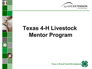 Texas 4-H Livestock  Mentor Program Texas 4-H and Youth Development 