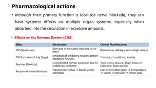 Local Effect Is Pharmacology of Local anesthetics, definition, classification ...
